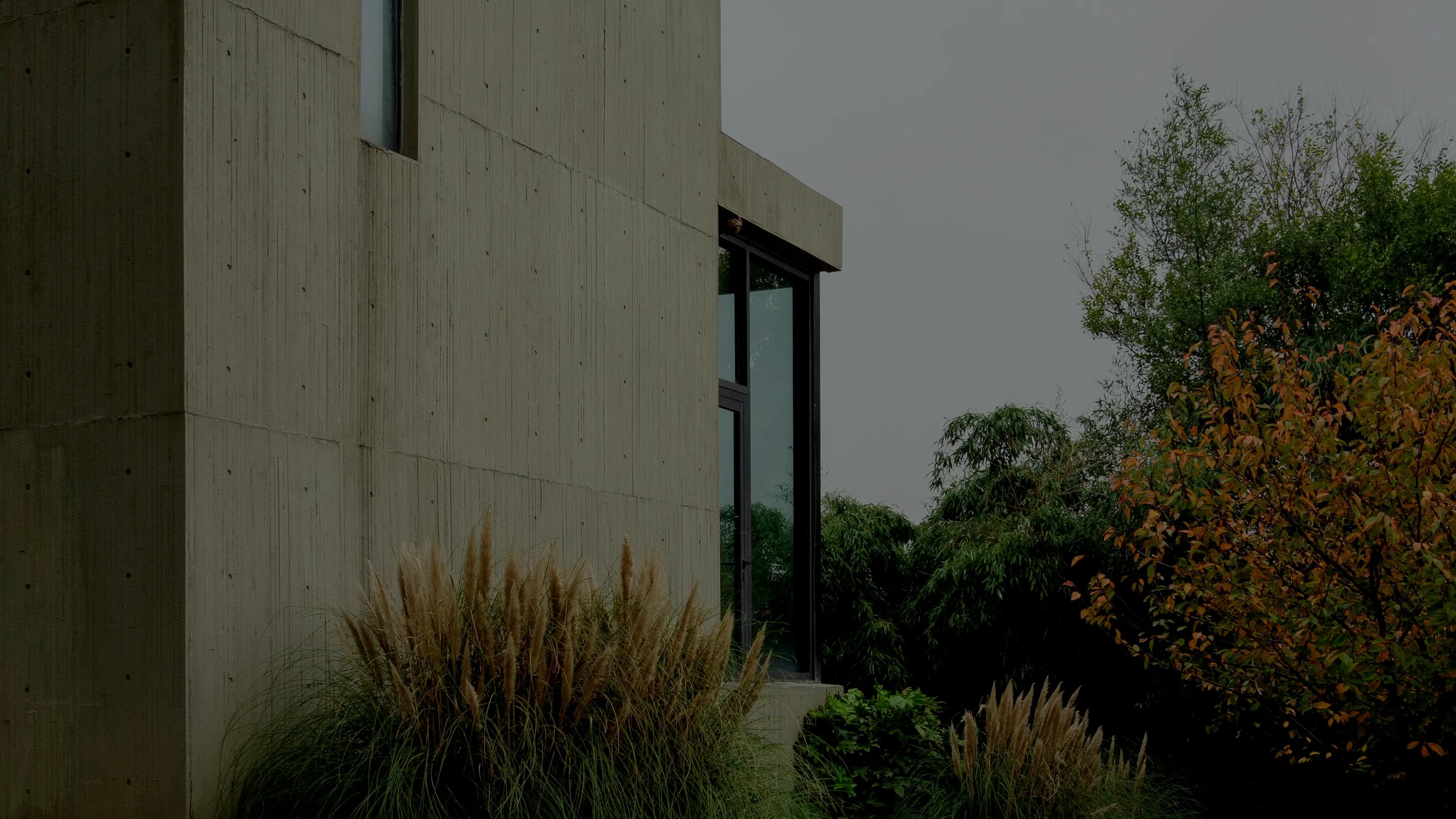 A board-marked concrete courtyard wall behind ornamental grasses